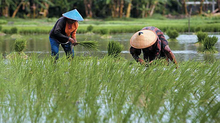Smart Farming