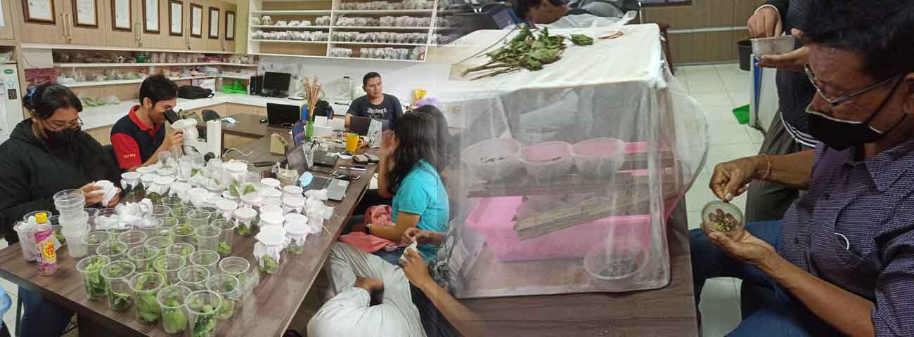 Laboratory Facilities